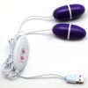 Mini Huevo Vibrador Enchufable Vía USB Doble Púrpura