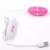 Mini Huevo Vibrador Enchufable Vía USB Rosado