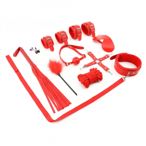 Kit De Accesorios De 10 Piezas Rojo