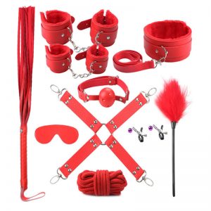 Kit De Accesorios De 10 Piezas Rojo