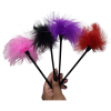 Pluma Para Caricias (colores surtidos)